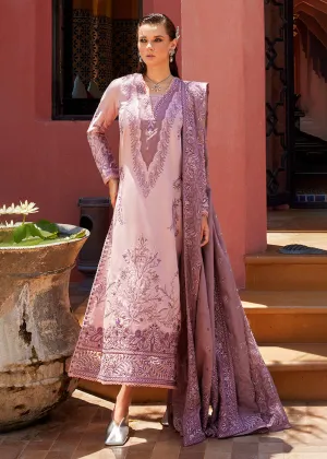 Moroccan Dreams '23 by Mushq - SAFAA