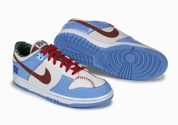 Nike SB Dunk Low  "Doernbecher "