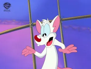 Pinky And The Brain Original Production Cel Key Setup: Pinky