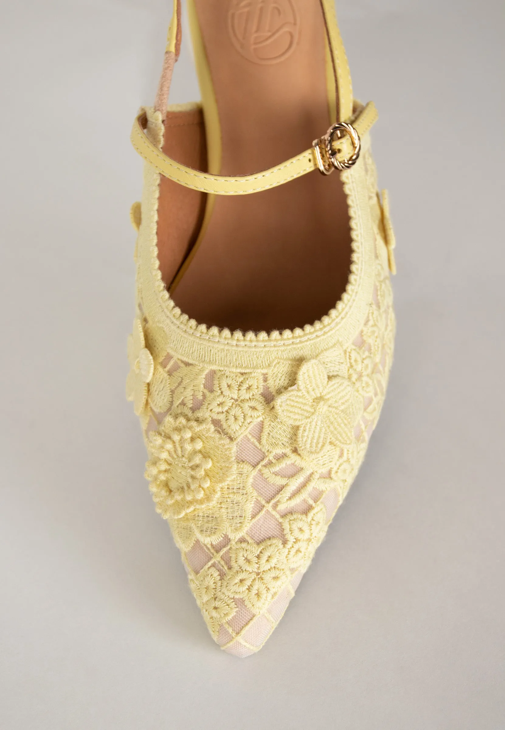 Rayla 𖠁 Pointed Low Pumps With Lace (Limited Edition)